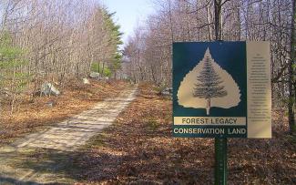 A wooded area with dirt trail with a Forest Legacy Conservation Sign in the foreground