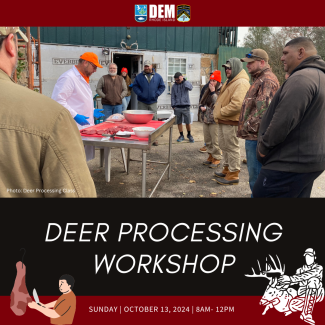 deer class