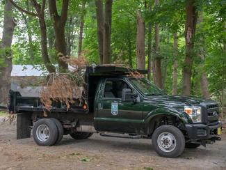 A green dumptruck with brush in the back with the DEM logo on the door