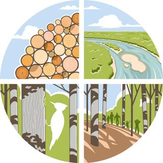 FSP logo