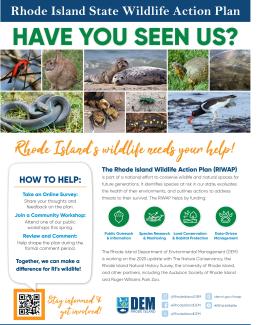 Visual of outreach flyer
