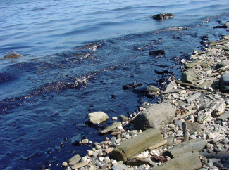 Coastal oil spill photo