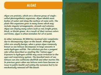 Naturally occurring phenomena factsheet