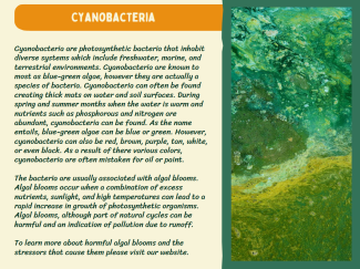 Naturally occurring phenomena factsheet