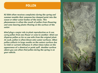 Naturally occurring phenomena factsheet