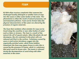 Naturally occurring phenomena factsheet