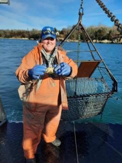 blue_crab_dredge
