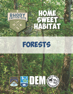 Cover of the Educator Packet with a forested scene