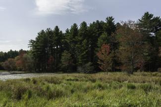 durfee-wma-fall