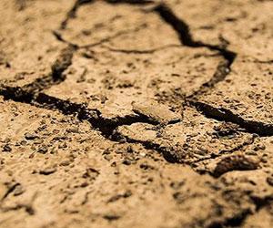 Dry cracked ground