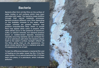 Naturally occurring phenomena 