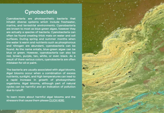 Naturally occurring phenomena 