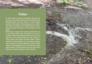 Naturally occurring phenomena 