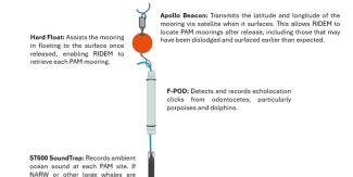 Passive Acoustic Monitoring