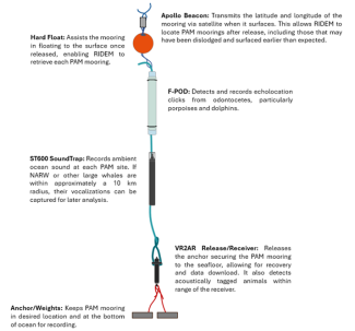 passive_acoustic_monitoring