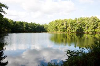 Evergreen trees and a blue sky with fluffy clouds reflect off the pond at the W. Alton Jones campus in West Greenwich