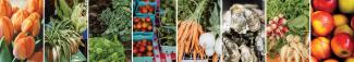 Examples of locally grown food, plants, and oysters