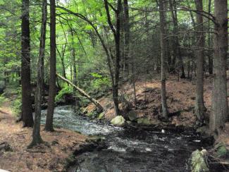 Woonasquatucket River