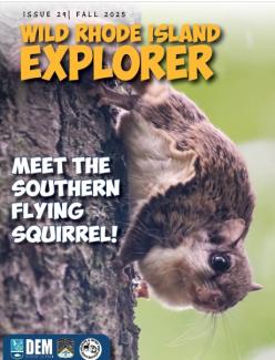 A super cute Southern flying squirrel clings to a tree trunk on the Fall 2025 cover of Wild Rhode Island Explorer.