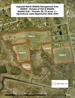 Map of Babbitt Parcel