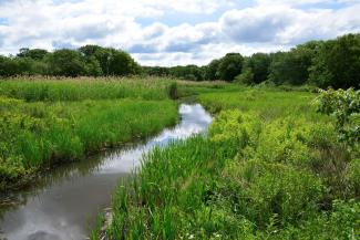 Buckeye Brook with a winding river surrounded by lush green vegetation