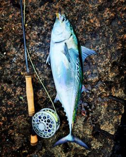 saltwater fly fishing