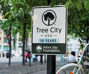 A tree covered city area with a sign that says "Tree City USA, 10 Years, Arbor Day Foundation"