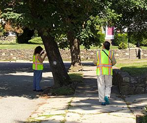 Two State employees wearing high-viz vests walk a urban street to survey tree coverage