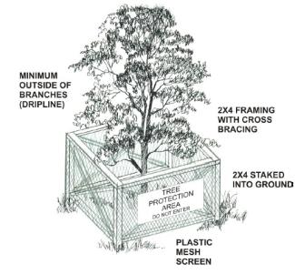 tree fence construction