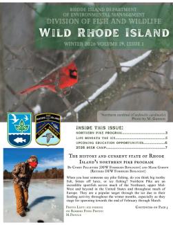 Cover image of the Wild RI Journal - Winter 2026 showing a red cardinal in a winter scene