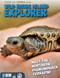 A Norther diamondback terrapin hatchling on the Summer 2026 cover of Wild Rhode Island Explorer