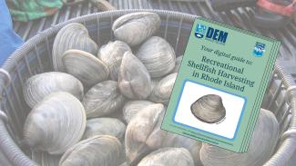 cover pic for shellfishing guide