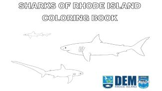 Sharks_coloring_book_cover