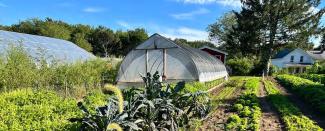 Example of regenerative agriculture showing a field and greenhouse