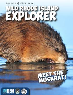 Wild RI Explorer Magazine cover with a muskrat in water
