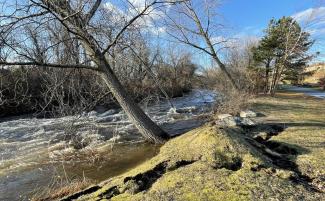 Flooding of the Woonasquatucket River on January 10, 2024. Credit: Adriana Pastor via MyCoast.
