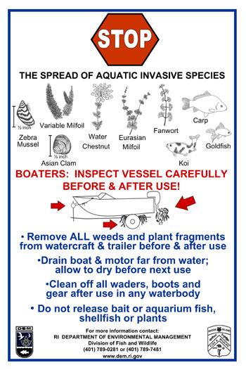 Aquatic Invasive Species Response Efforts | Rhode Island Department of ...
