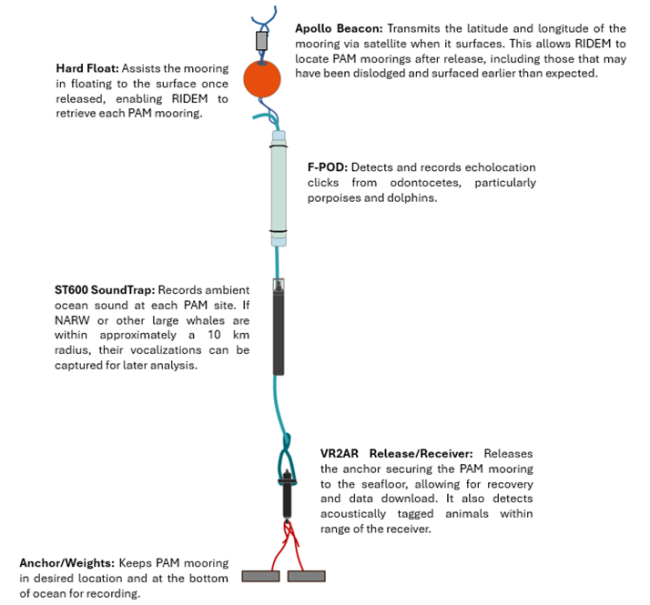 Passive Acoustic Monitoring (PAM) | Rhode Island Department of ...